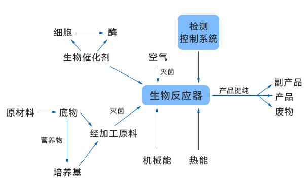 一般生物技術(shù)生產(chǎn)過程示意圖