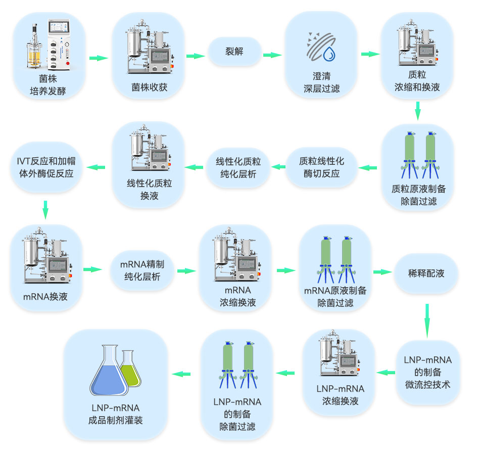 LNP-mRNA成品的工藝流程